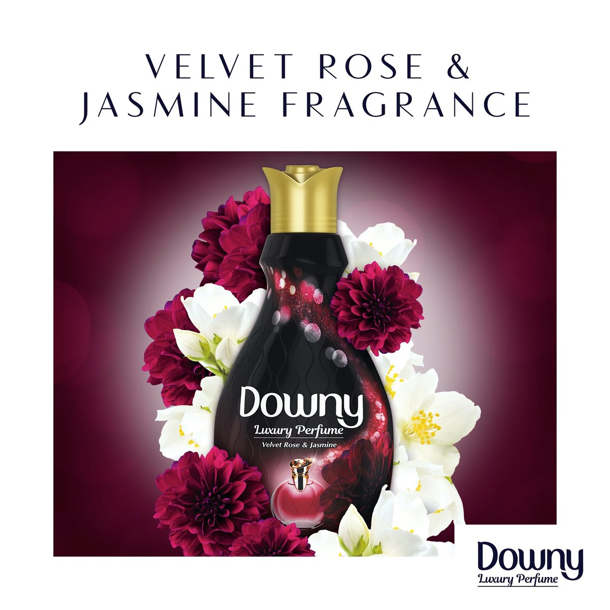 Downy Perfume Collection Concentrate Fabric Softener Velvet Rose & Jasmine Value Pack 880ml