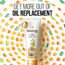 Pantene Pro-V Hair Oil Replacement Leave On Cream Moisture Renewal 275 ml