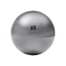 Adidas Gym Ball 65" ADBL-11246GR Grey