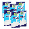 Awal Junior Milk Full Cream 6 x 125ml
