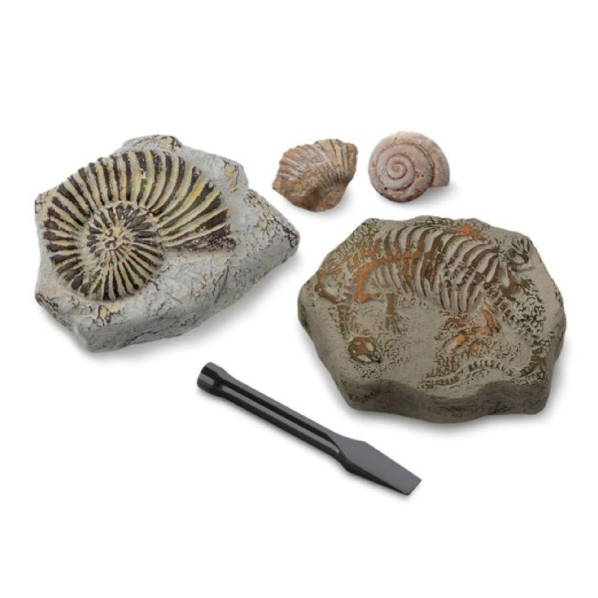 Discovery Kids Toy Excavation Science Kit Mini Fossil 2pc 14230047