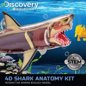 Discovery 4D Shark Anatomy Kit 6000554