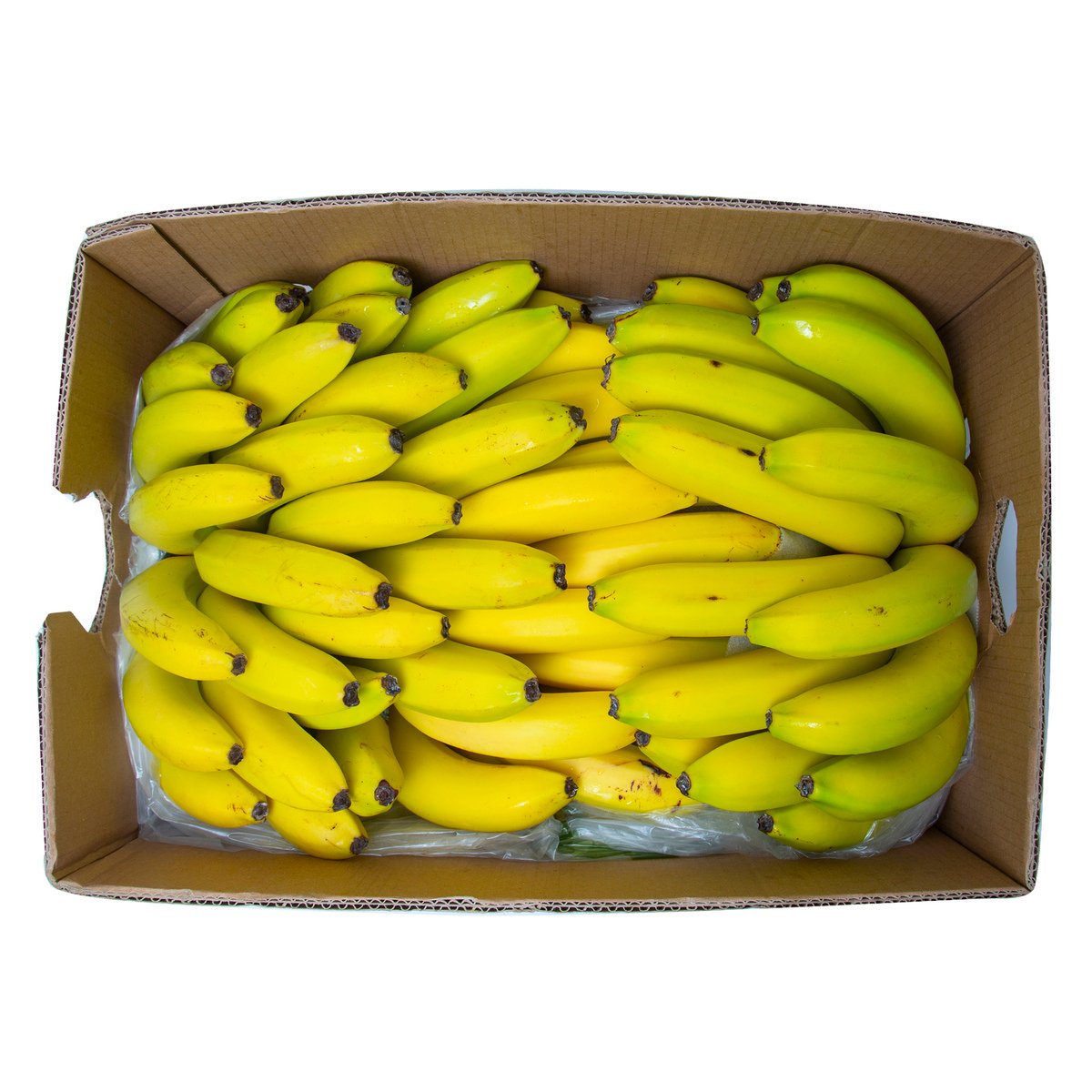 Banana Ecuador 13 kg