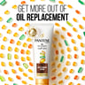 Pantene Pro-V Hair Oil Replacement Leave On Cream Milky Damaged Repair Value Pack 275 ml
