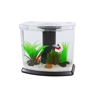 Maple Leaf Desktop Aquarium With LED Light and Filter Pump DY-03