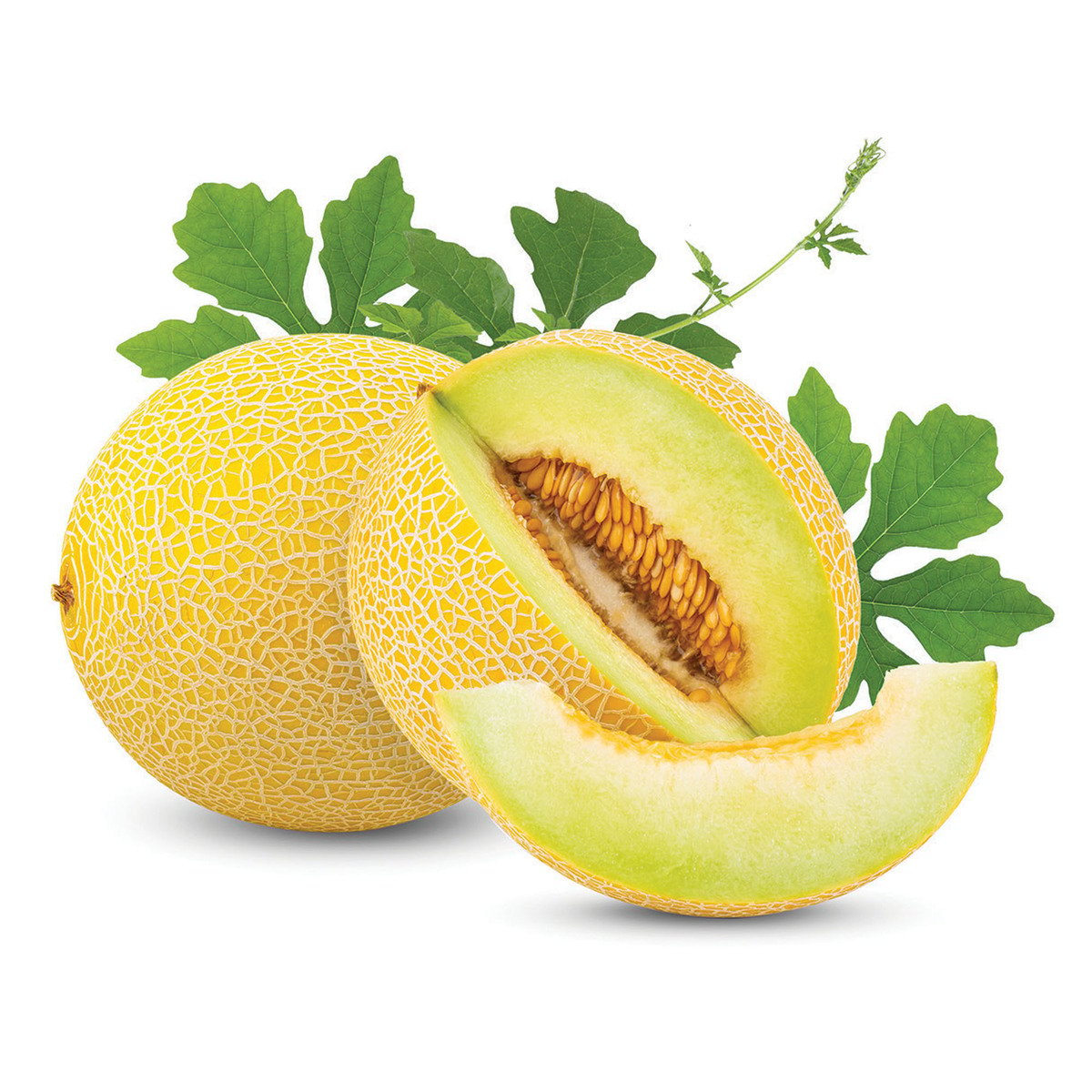 Buy Sweet Melon Yellow Iran 2 kg Online at Best Price | Melons | Lulu UAE in UAE
