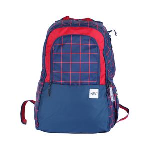 Wildcraft School Backpack 2Checks 18.5inch,Blue