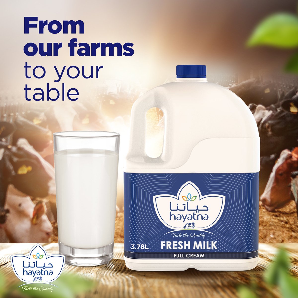 Hayatna Full Fat Fresh Milk 3.78 Litres