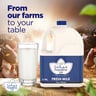 Hayatna Full Fat Fresh Milk 3.78 Litres