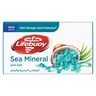 Lifebuoy Sea Mineral And Salt Bar Soap 70g