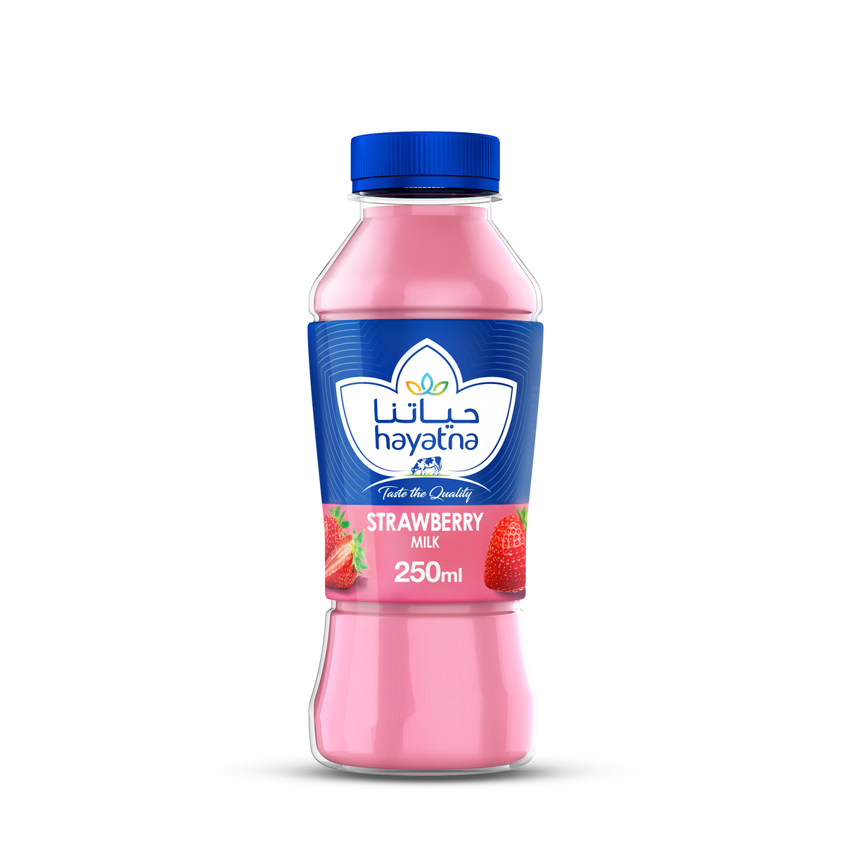 Hayatna Strawberry Flavoured Milk 250 ml
