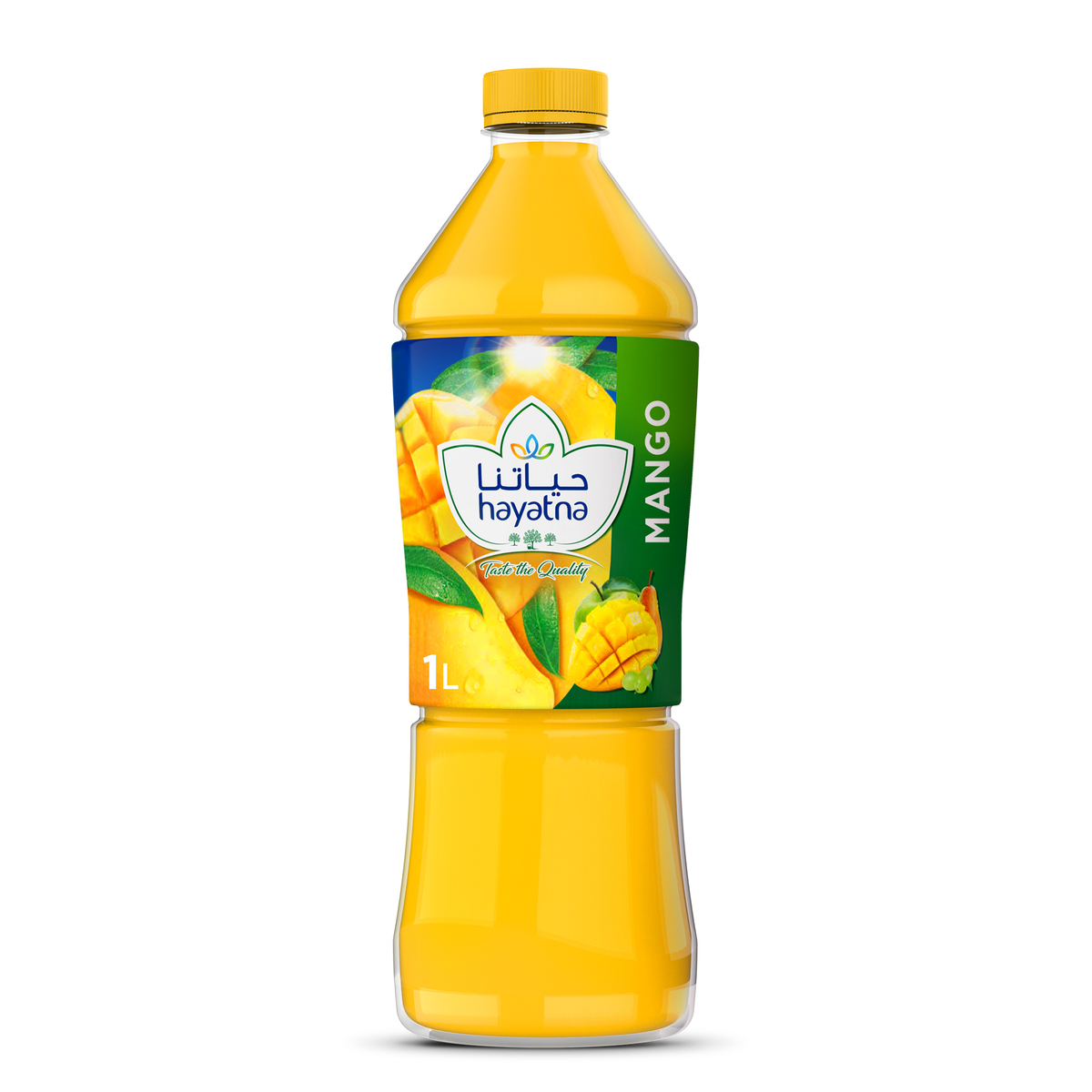 Hayatna No Added Sugar 100% Pure Mango Nectar 1 Litre