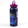 Frozen Stainless Steel Water Bottle 6899700170