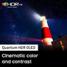 Samsung Quantum HDR 4K OLED TV QA55S95BAUXZN 55"