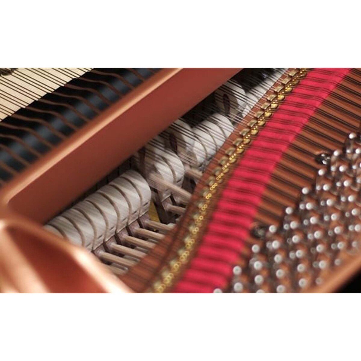 ياماها كلافينوفا بيانو رقمي CLP-745 لوحة مفاتيح خشبية جراند تاتش-إس، 38 صوت بما في ذلك صوت CFX و Boesendorfer، 20 نمط إيقاع، 16 مسار تسجيل، أسود