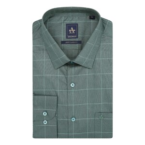 Arrow Men's Windowpane Check Cotton Regular fit Long Sleeve Formal Woven Shirt, ARAESH0123, Green, 39