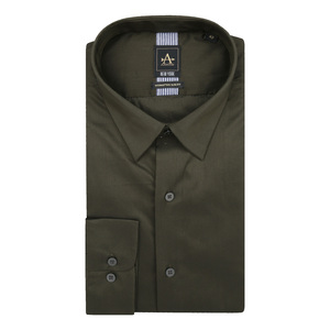 Arrow Men's Manhattan Slim Fit Long Sleeve Formal Woven Shirt, ANAESH1073, Olive Green, 42