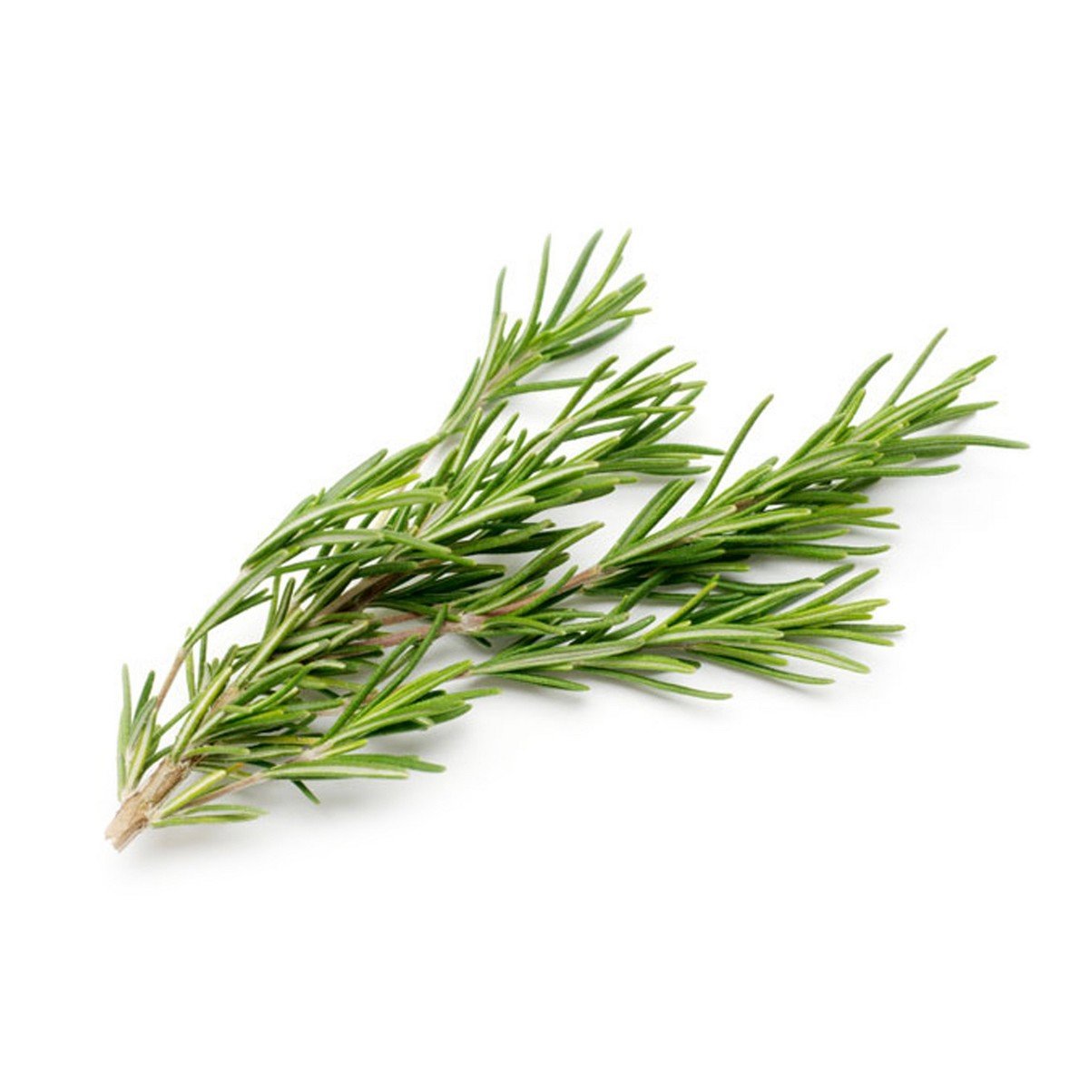 اشتري قم بشراء روزماري إيطالي 1 عبوة Online at Best Price من الموقع - من لولو هايبر ماركت Importd.Herbs/Leaves في السعودية