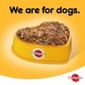 Pedigree Puppy with Poultry and Rice Wet Dog Food Can 400g