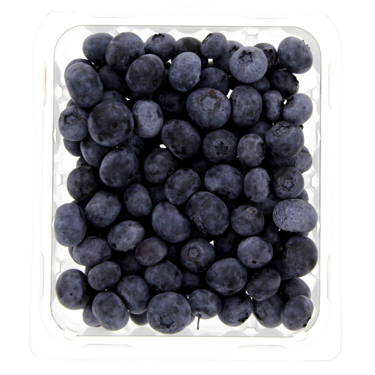 Blueberry 1 pkt