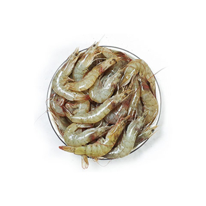 Shrimp Small 500g Approx. Weight
