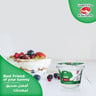 Al Ain Fresh Low Fat Yoghurt 170 g