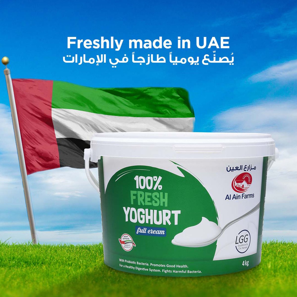 Al Ain Fresh Full Cream Yoghurt 4 kg