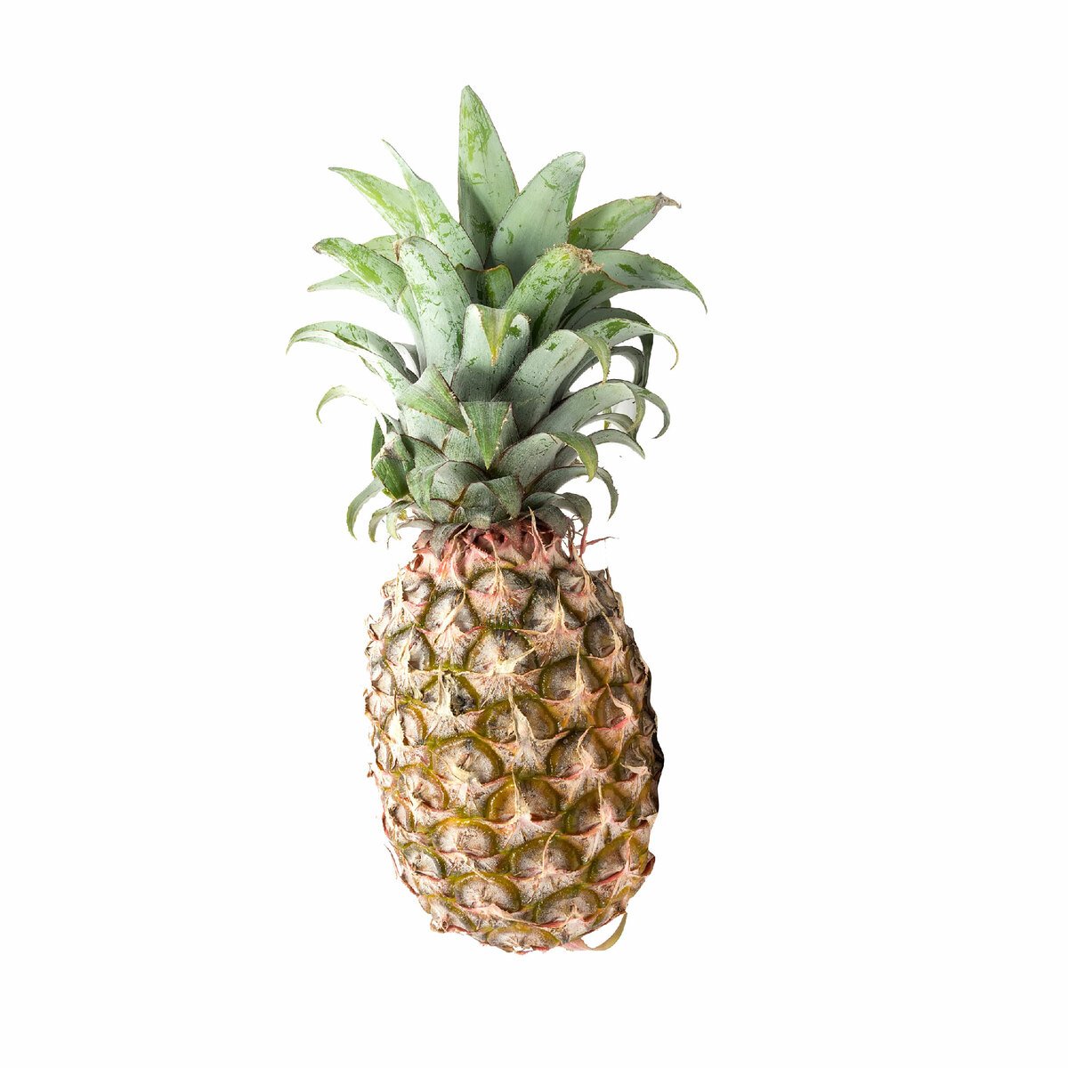 Buy Pineapple Philippines 1 pc Online at Best Price | Pineapple | Lulu Kuwait in UAE