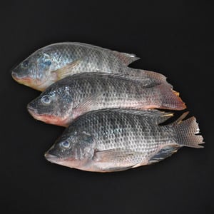 Live Tilapia Fish Whole Cleaned 1 kg
