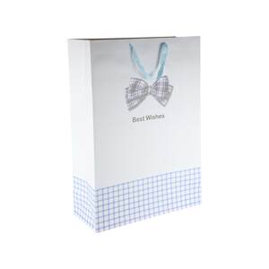 Party Fusion Gift Bag  10465-29