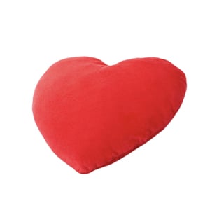 Arrya Col Velvet Heart Cushion