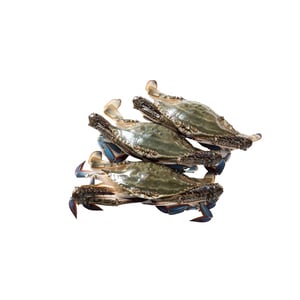 Ketam Bunga Medium(Flower Crab)500g Approx Weight