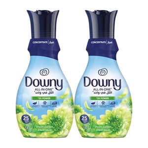 Downy Concentrate Fabric Softener Dream Garden 2 x 1Litre
