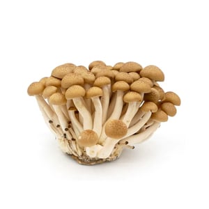 Shimeji Mushroom 150g Approx Weight
