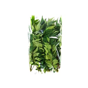 Curry Leaf Packet