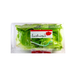 Lushious Romaine 150g Approx Weight