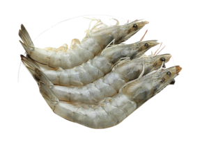 Udang Large(Prawns)500g Approx Weight