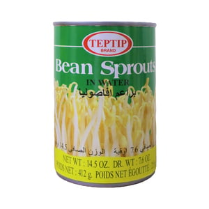 Teptip Bean Sprouts In Water 412 g