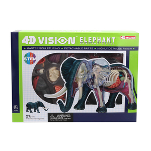تشابمي لعبة نموذج تشريح الفيل 4دي فيجين التعليمية للاطفال ، 62202