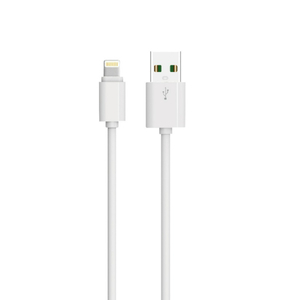 Iends USB to Lightning Charge and Sync Cable, 1 m, White, IE-CA693