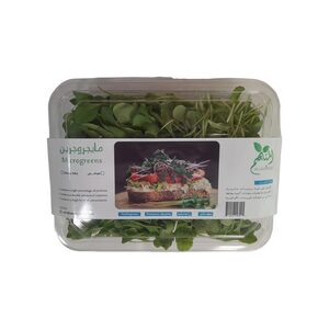 Microgreens Mix Salad 1 pkt