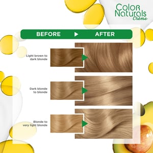 Garnier Color Naturals Crème Nourishing Permanent Hair Color 9.1 Natural Extra Light Ash Blonde 1 pkt