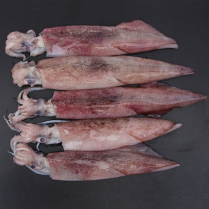 Defrosted Whole Squid (20/40) 500 g