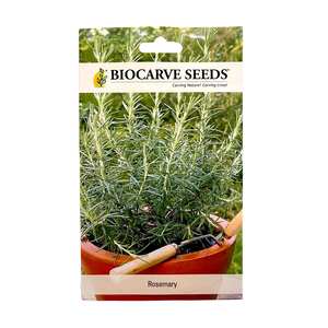 Biocarve Seeds Rosemary Seeds