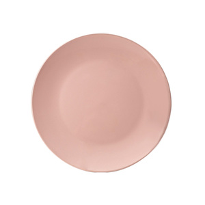 Little Homes Pink Stoneware Dinner Plate 10.5