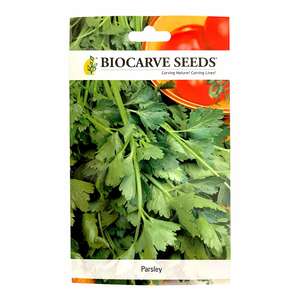 Biocarve Seeds Parsley Seeds