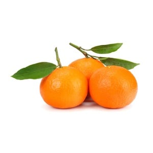Fresh Mandarin with Leaves 1 kg