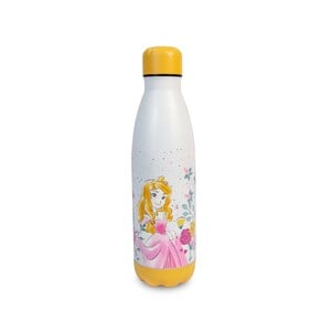 Princess Stainless Steel Double Wall Vacuum Insulated Sports Water Bottle, 480ml, Multicolored, TRHA14307