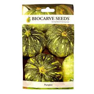 Biocarve Seeds Pumpkin Seeds