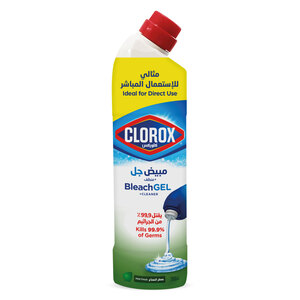 Clorox Mint Freshness Beach Gel and Cleaner 750 ml